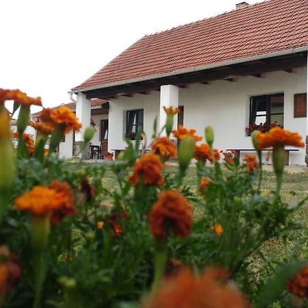 Oncsa Vendeghaz Hotel Gyöngyös Bagian luar foto