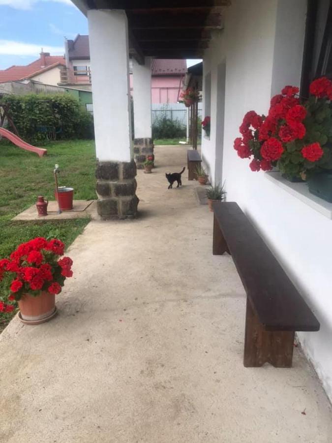 Oncsa Vendeghaz Hotel Gyöngyös Bagian luar foto